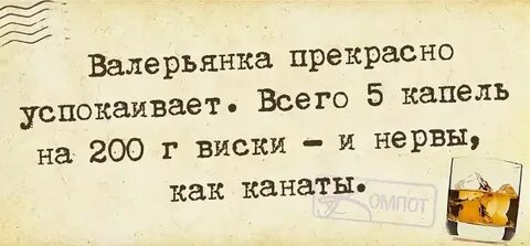 i?id=695880dfa7fac3fbc157b0eaac4dc80b837