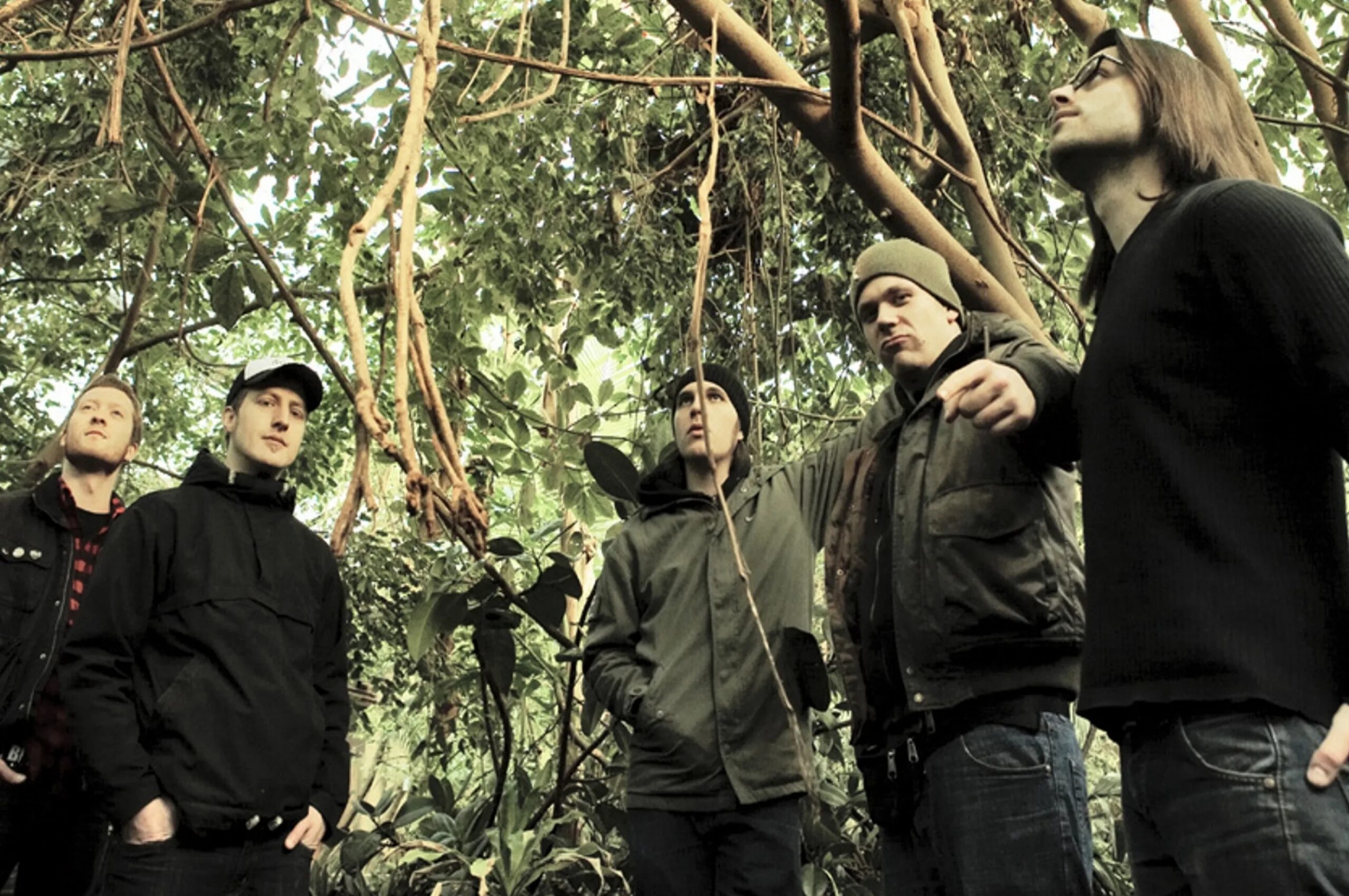 Trees calling. Группа long distance calling. группа cerebral ballzy. звонкий дерево жизни. &quot;the distance&quot; &amp;&amp; ( исполнитель  группа  музыка  music  band  artist ) &amp;&amp; (фото  photo).