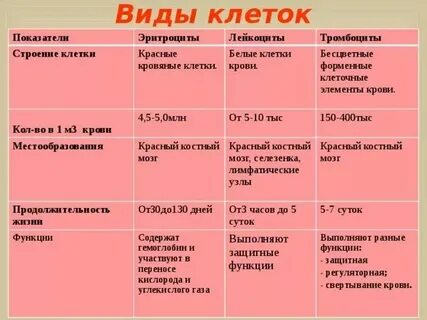 Эритроциты лейкоциты тромбоциты что это