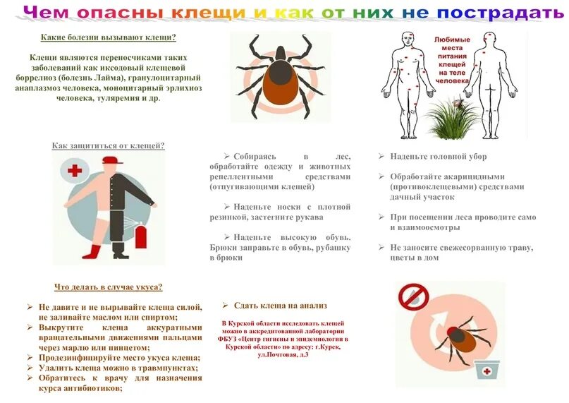 Памятка по клещевому. Памятка клещи. Памятка про клещей. Осторожно клещи памятка.