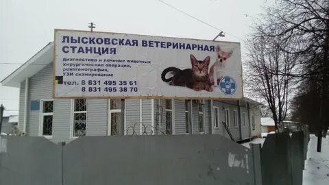 Ветеринарная станция подольска