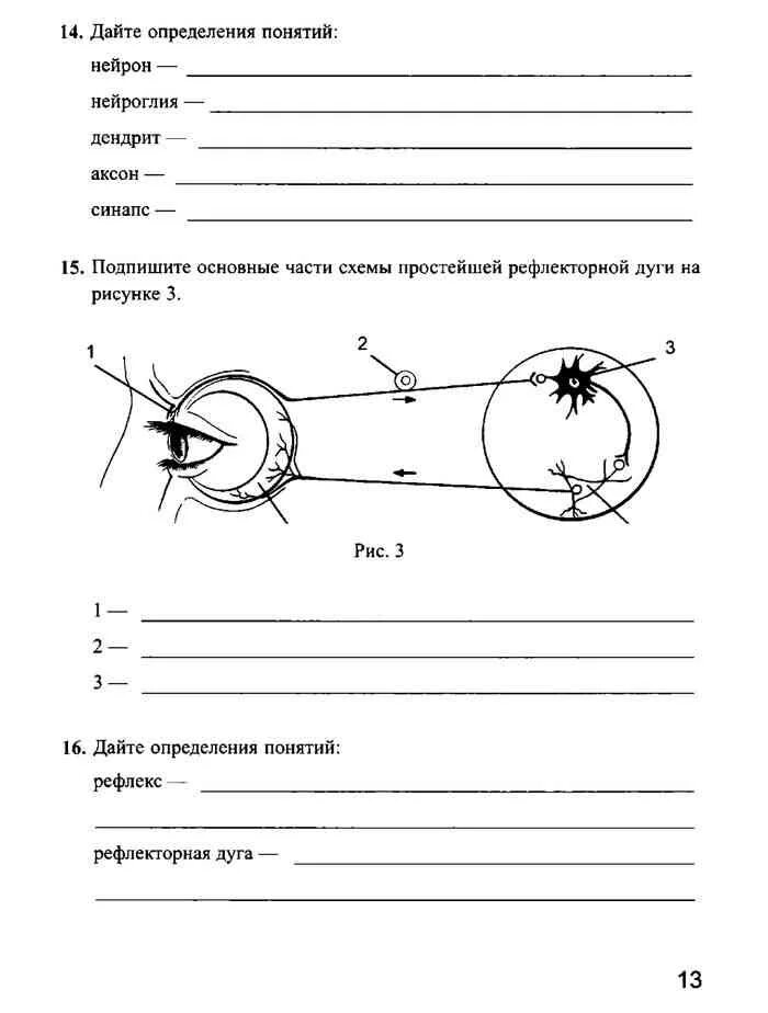 Биология 8 класс маш беляев рабочая. Биология 8 класс рабочая тетрадь Колесов маш. Биология 8 класс рабочая тетрадь. Рабочая тетрадь по биологии 8 класс Колесов. Рабочая тетрадь по биологии 8 класс Колесов маш Преображенская.