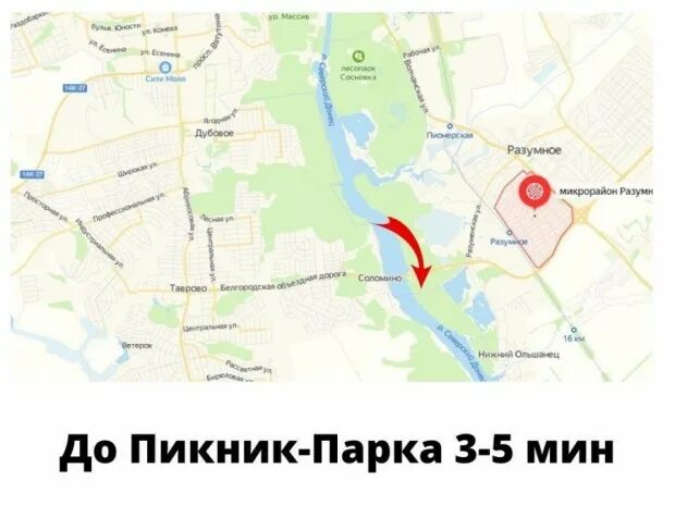 разумное 81 карта. где находится разумное. план массива разумное 71. разумное 71 белгород на карте. карта п разумное.