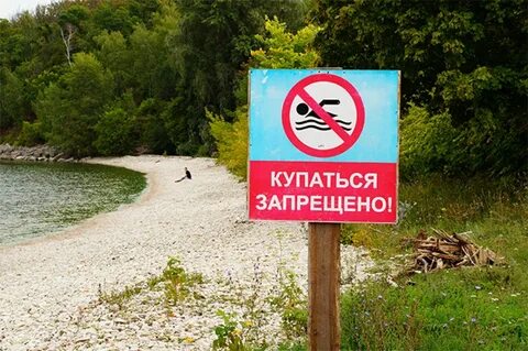 Почему нельзя купаться в нашей реке сочинение