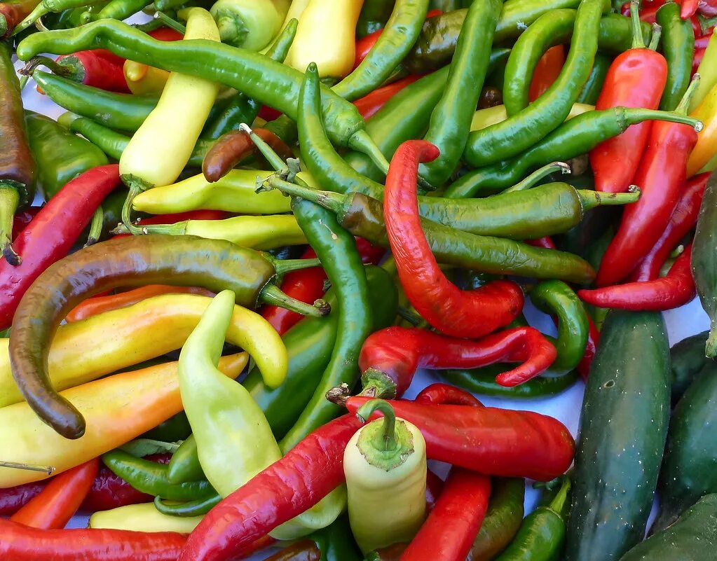 Перец питер пеппер. Петер пеппер красный острый перец (peter pepper red). Piri piri перец. Острый перец чили. Перец гороспел партнер.