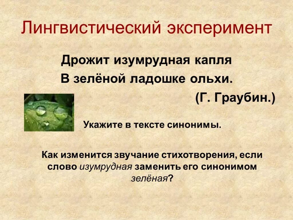 Синоним к слову эксперимент