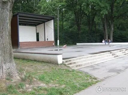Сцена на пруду