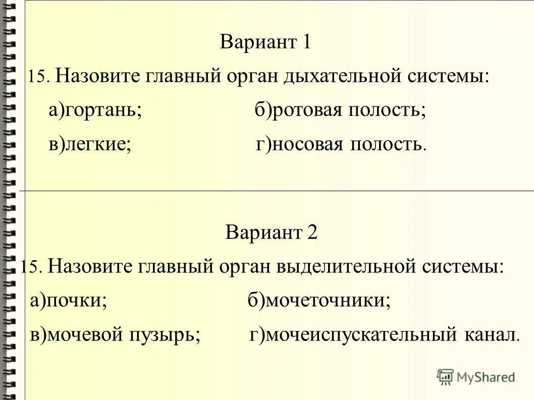 Тест по теме система органов дыхания. Тест по теме система органов дыхания. Тест по теме система органов дыхания. Тест по теме система органов дыхания. Тест по теме система органов дыхания.