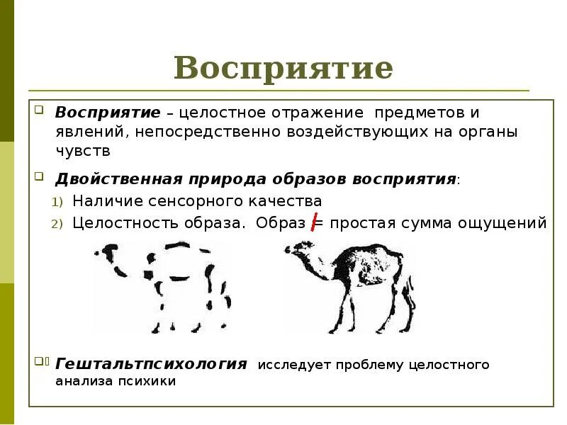 Целостное отражение предметов непосредственно воздействующих