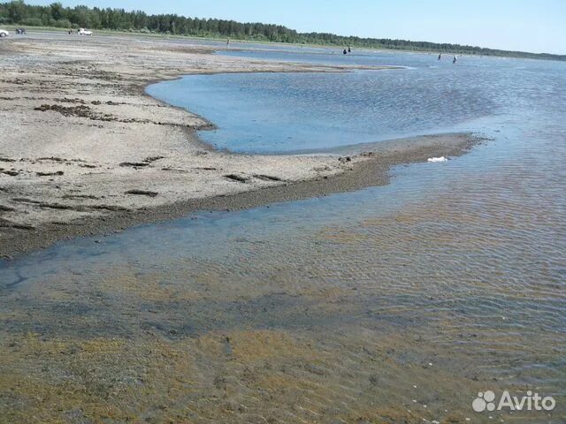 Погода в с новоегорьевское егорьевского алтайского края. Новоегорьевское Алтайский край. Новоегорье Егорьевский район. С Новоегорьевское фото.