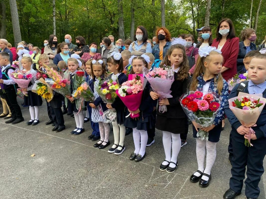 Пустомержа Кингисеппский район школа. Большая Пустомержа школа. Школа в большой Пустомерже. Деревня большая Пустомержа. Электронная школа ленинградская область кингисеппский