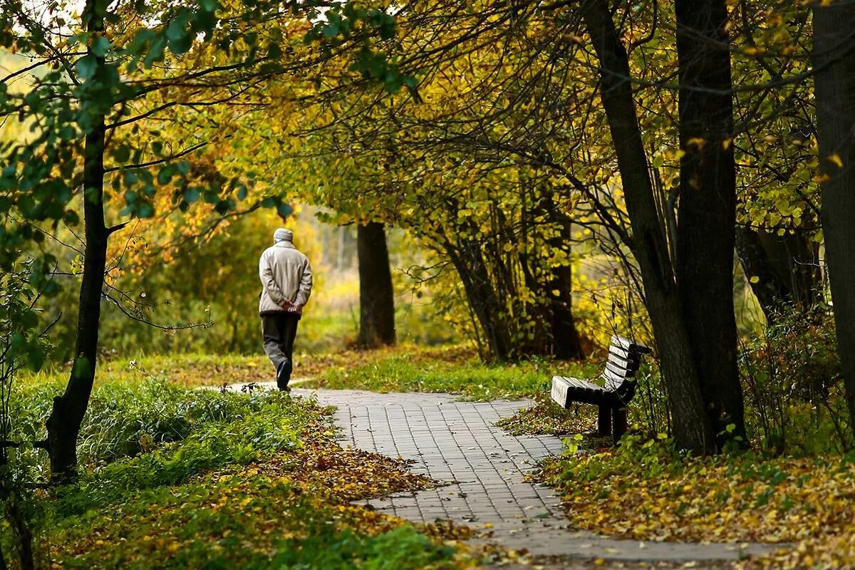 Прогулка ранним утром. Осенний парк. Прогулка в парке. Осень мужчина в парке. Осень в парке.