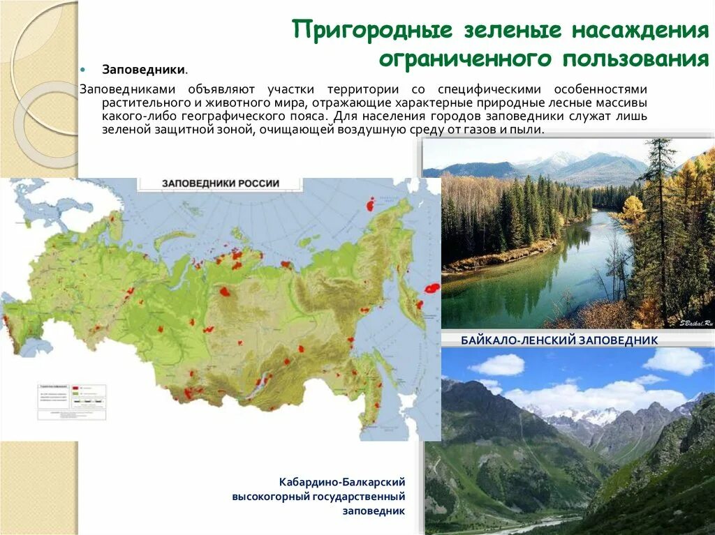Озелененные территории ограниченного пользования. Территории ограниченного пользования. Территории ограниченного пользования. Озеленение территории ограниченного пользования. Муниципальные территории общего пользования.
