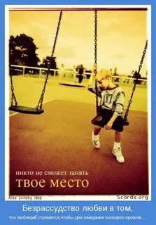Заняли свое место рядом с