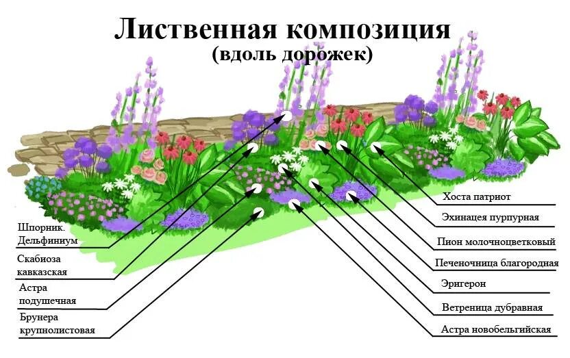 Схема миксбордера вдоль дорожки. Рабатки миксбордеры. Схема миксбордера непрерывного цветения. Рабатка в ландшафтном дизайне схема. Клумба из многолетников для начинающих непрерывного цветения