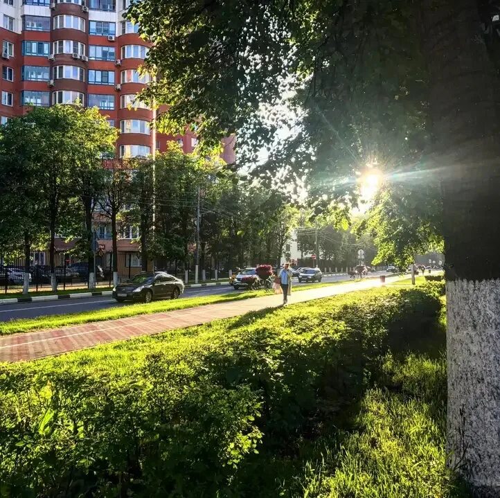 Химки. Химки Московская область. Химки город. Химки население. Мвд московской области химки химки