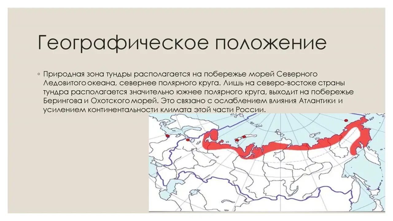 Полупустыни россии географическое положение климат. Положение зоны тундры. Географическое положение зоны пустынь. Географическое положение степи в россии. Географическое положение степной зоны в россии.