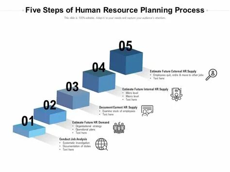 Human resource planning. Planning process steps. Steps of Human resource planning. Five steps. Planning steps