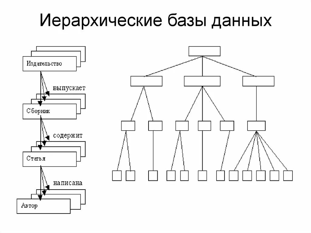 Иерархическая модель данных схема. Иерархическая модель баз данных. Иерархическая структура базы данных. Пример схемы иерархической базы данных. Иерархического способа организации данных