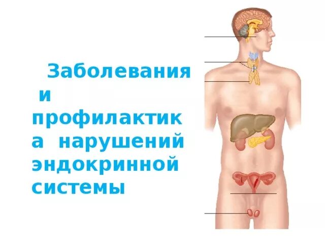 Эндокринные заболевания причины. Заболевания эндокринной системы. Заболевания Эндокриная системы. Заболевания и профилактика нарушений ждрокриний система. Профилактика нарушений эндокринной системы.