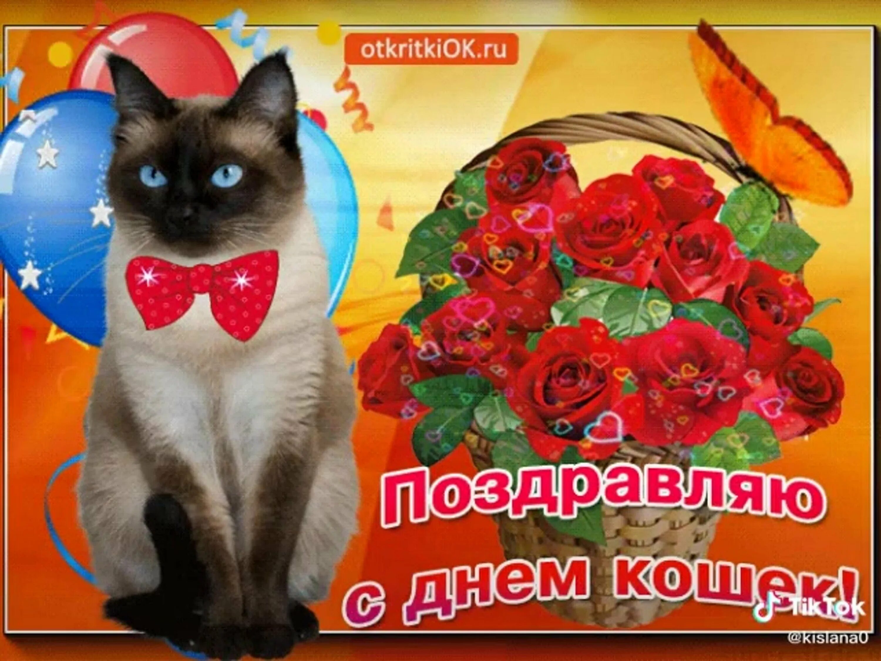 С днем кошек анимация. Всемирный день кошек. день кошек открытки. с днём кошек поздравления. всемирный день кошек открытки.