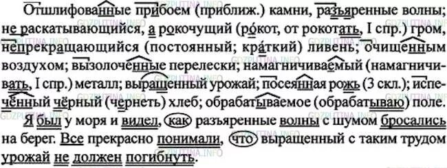 Русский язык 7 класс упр 407. Отшлифованные прибоем камни разъяренные волны. Русский язык 7 класс ладыженская упр 164. Отшлифованные прибоем камни. Отшлифованные прибоем камни разъяренные волны не раскатывающийся.