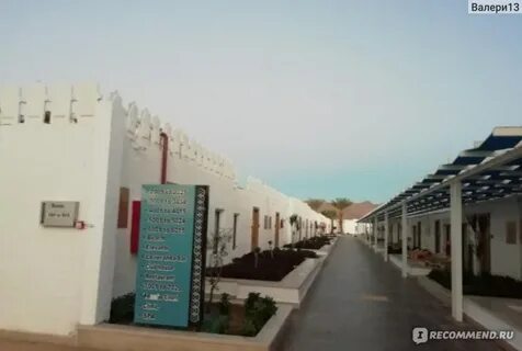 Beach albatros sharm отзывы