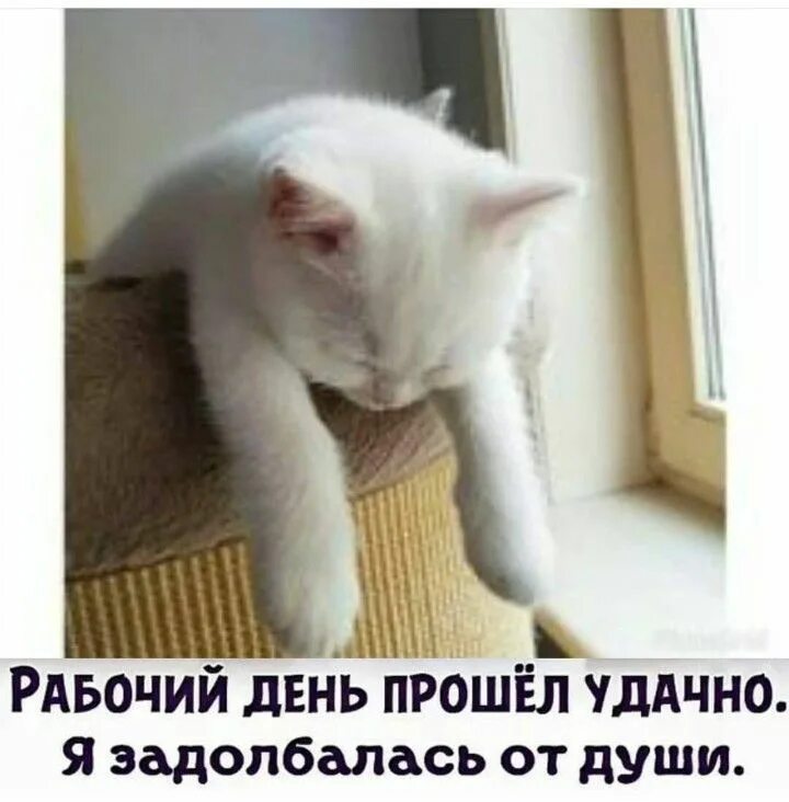 День прошел удачно. День прошел удачно. День прошел удачно. Открытка как прошел рабочий день. Открытка позитивного дня.