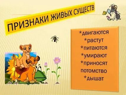 Как называют любой предмет любое живое существо