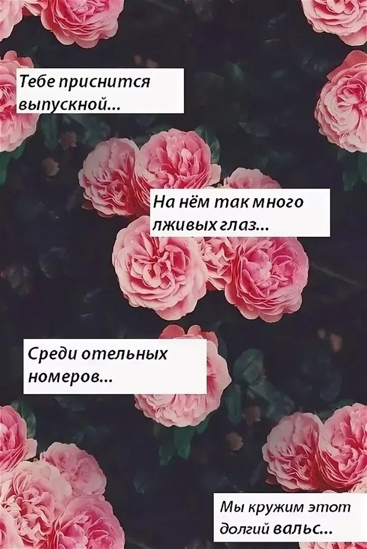 Грустные цитаты для подростков. Крутые цитаты для девочек. Цитаты девушке из песен. Цитаты для подростков. Цитаты из песен.