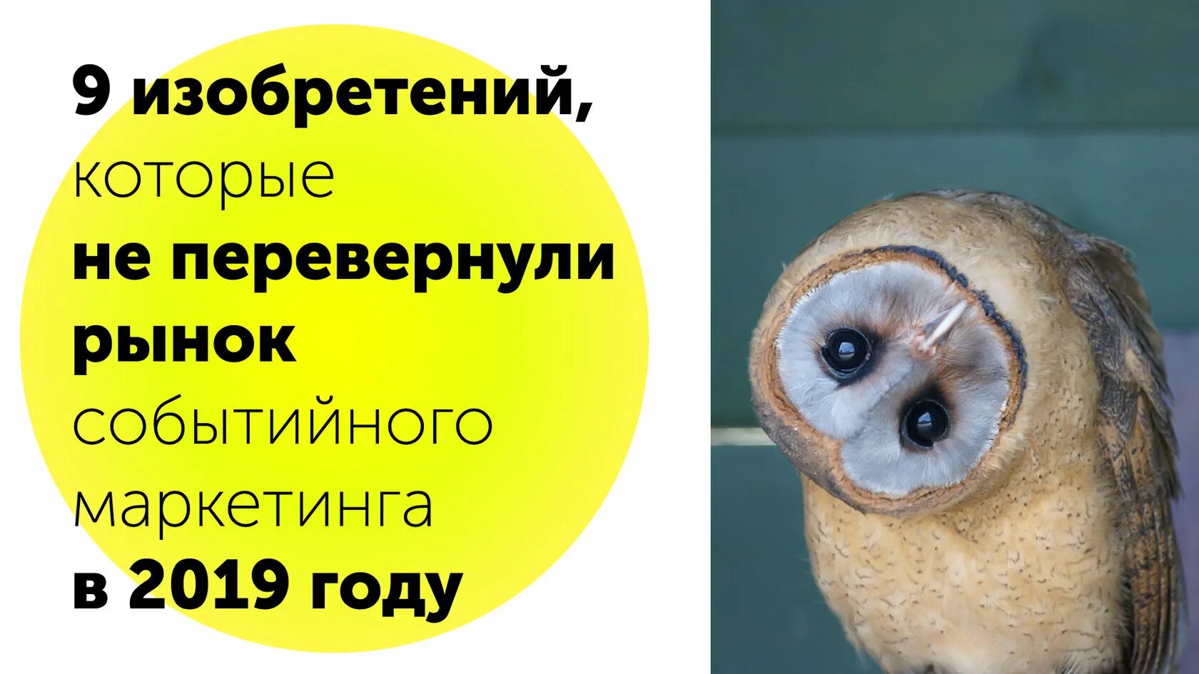 Какое событие опрокинуло все иллюзии посеянные лукой. Какое событие опрокинуло все иллюзии посеянные лукой