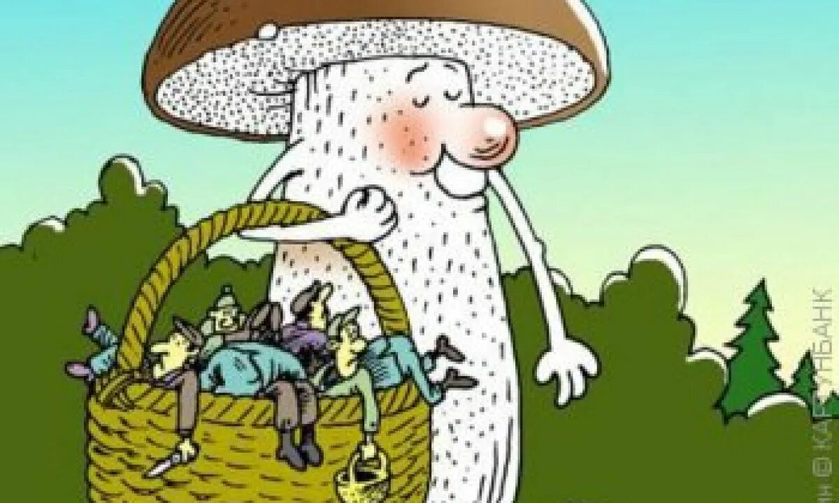 безумный грибник. грибник карикатура. грибы карикатура. юмористические рисунки. смешной грибник.
