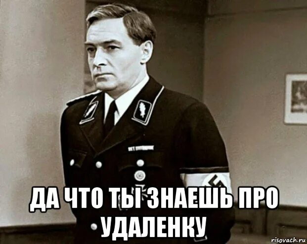 Шутки про глупость. Глупость. Глупости про удаленку. Высказывания о глупых мужчинах. Афоризмы про глупых людей.