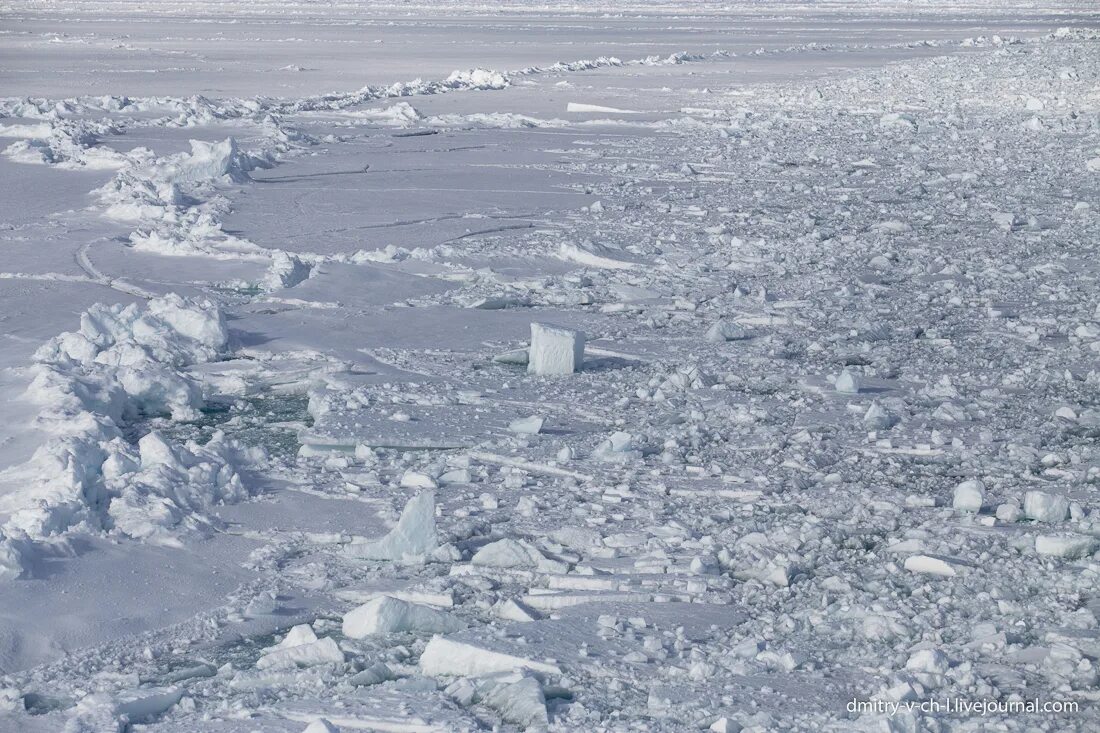 ледяной покров северного ледовитого океана. во льдах арктики. полярные льды. реншлебротен л. северный полюс северный ледовитый океан.