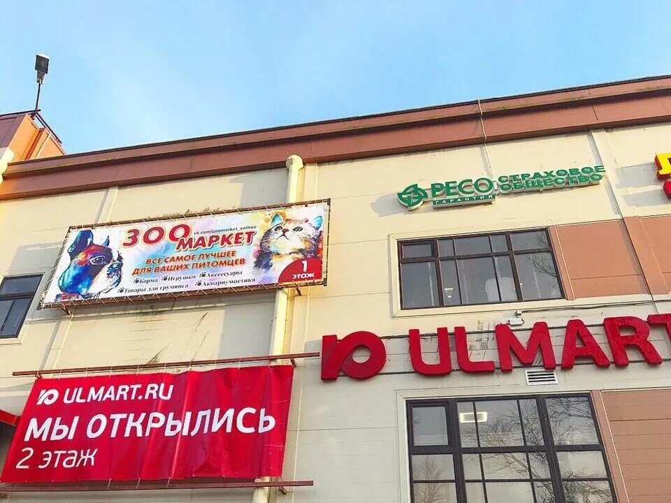 волховская 24