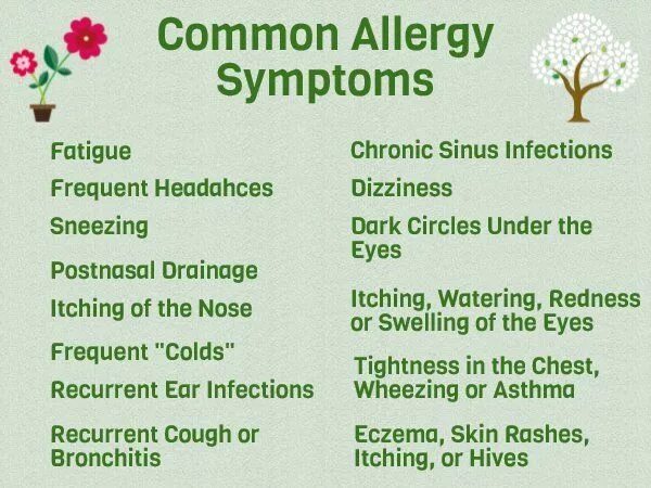 Common Allergy. Симптоматика аллергии symptomatics of alllergy.