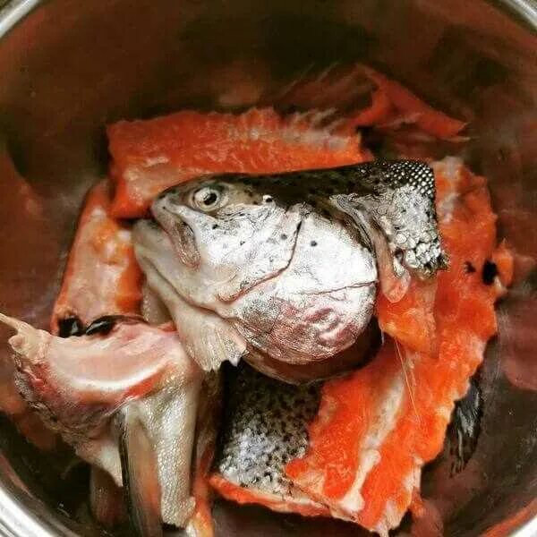 Рыбный суп из головы и хвоста форели. Голова форели. уха из форели головы и хвоста. уха из голов форели. уха из головы форели.