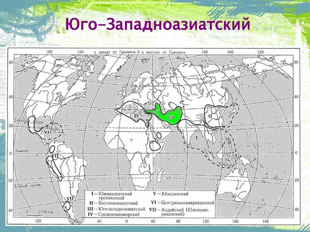 Восточноазиатский центр происхождения культурных. Юго Западно азиатский центр происхождения культурных растений. Южноазиатский тропический центр культурные растения. Восточноазиатский центр происхождения культурных растений. Юго-Западноазиатский.