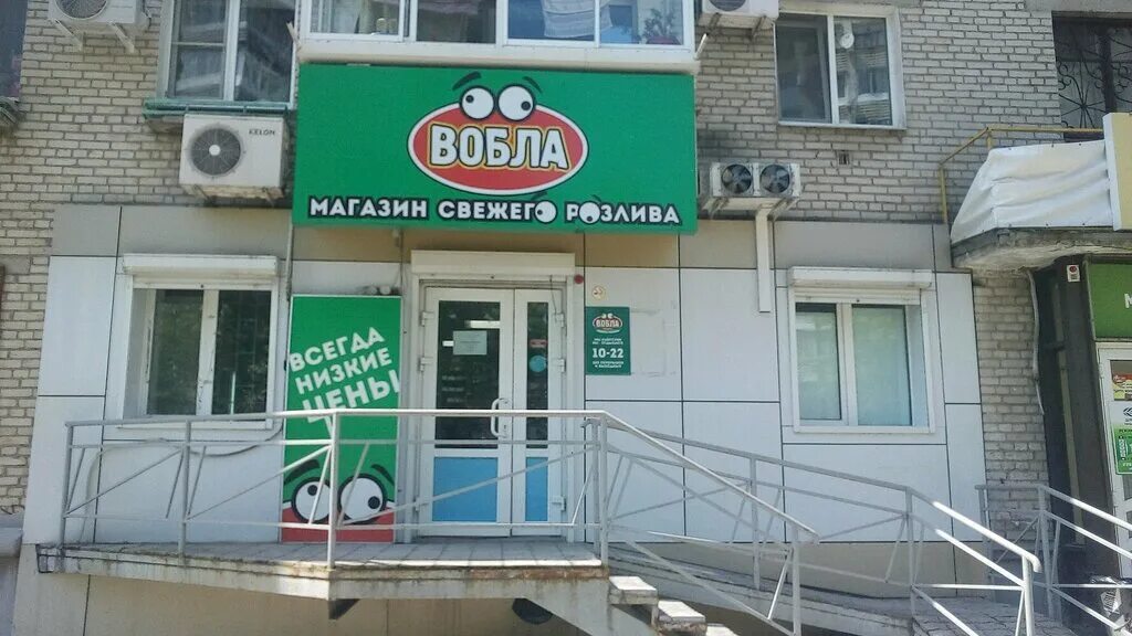 Астраханская рыба вобла. Вобла самец и самка. Вобла астраханская. Вобла хабаровск. Вобла хабаровск.