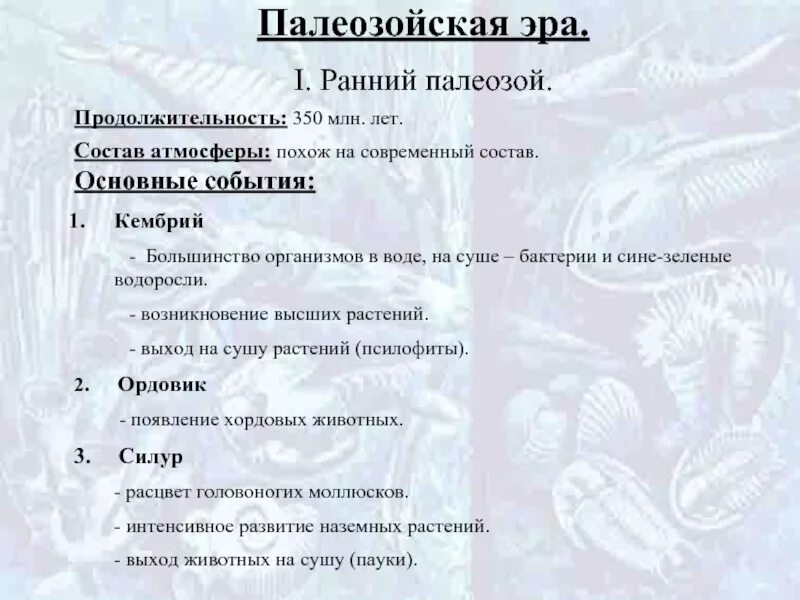 Основные этапы палеозойской эры. Палеозойская эра краткая характеристика. Основные этапы палеозойской эры. Продолжительность периодов палеозойской эры. Основные этапы палеозойской эры.