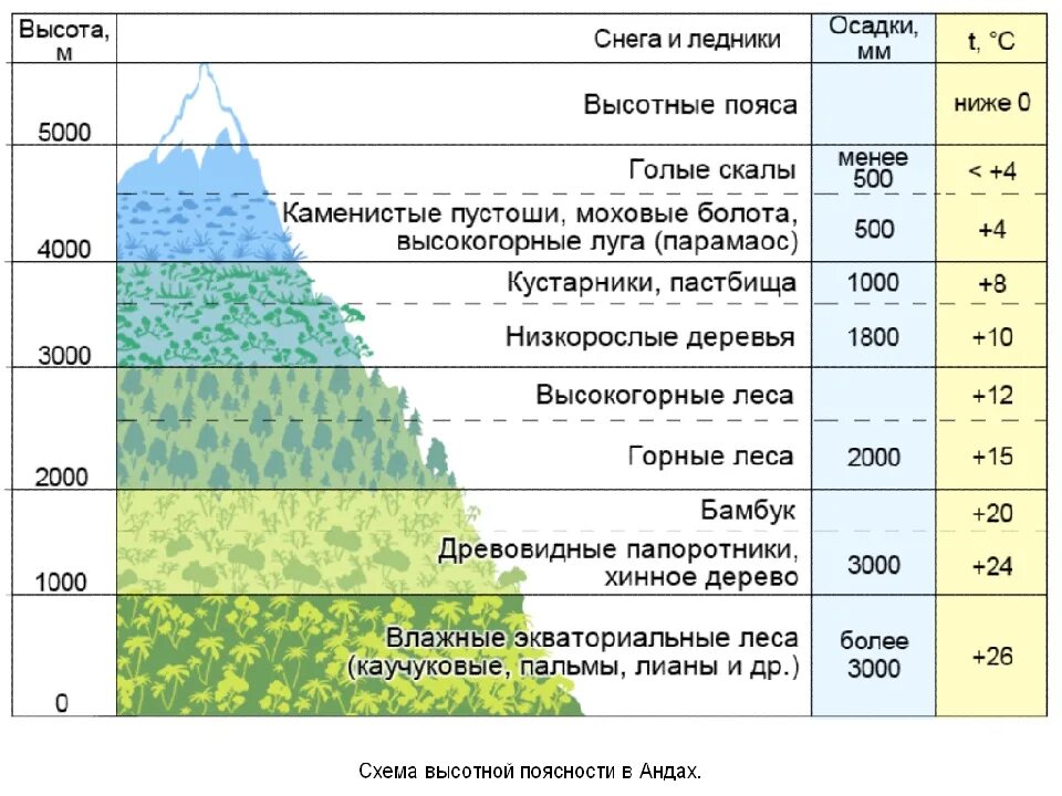 На какой высоте расположен субальпийский пояс кавказ. Природные зоны ВЫСОТНОЙ поясности. Высотная зональность гор Кавказа. Субтропики Высотная поясность в горах. Климат ВЫСОТНОЙ поясности в России.