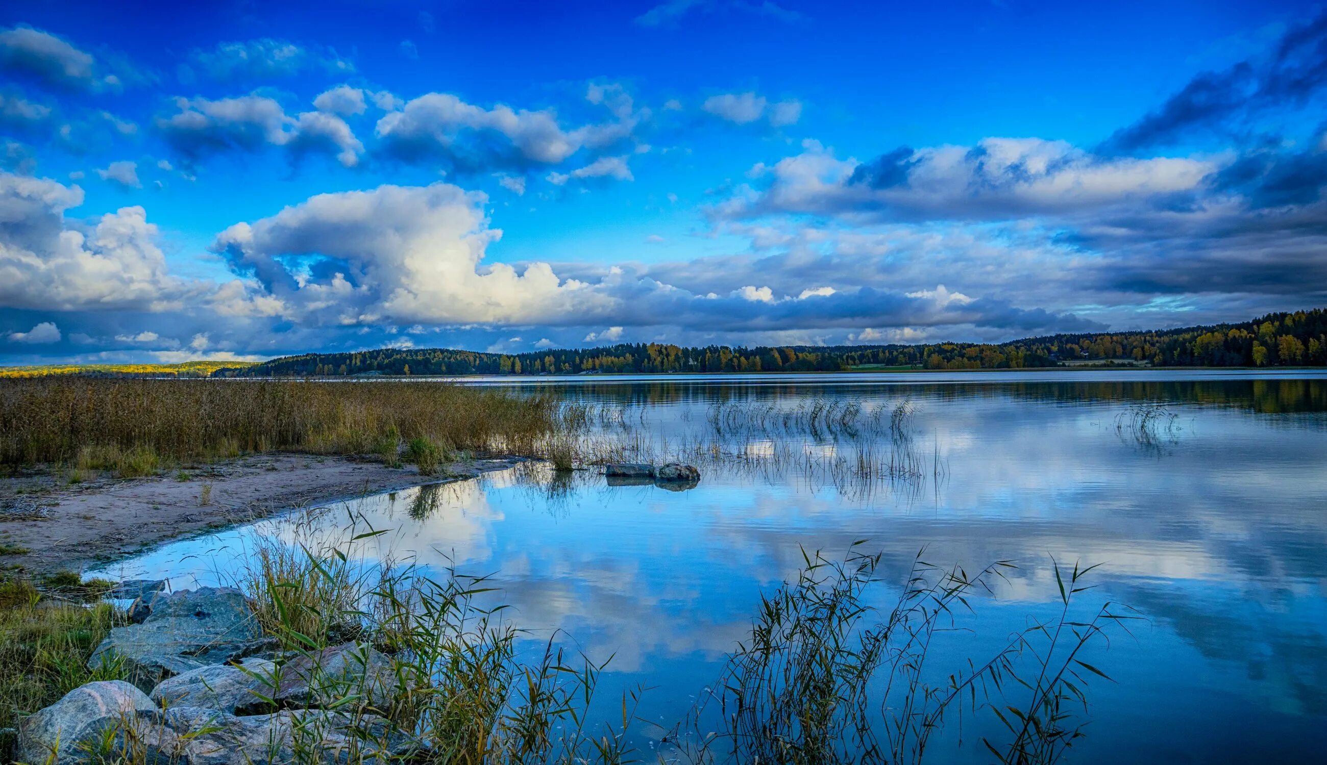 Вижу синюю реку. Озеро Суоми Финляндия. Финляндия голубые озера. Озеро Лаппаярви в Финляндии. Озеро в Финляндии лето.