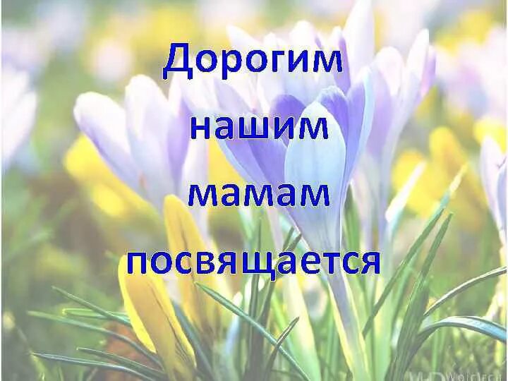 С праздником дорогие наши мамы. Мамам посвящается. дорогие наши мамы. дорогим нашим мамам посвящается. любимым мамам посвящается.