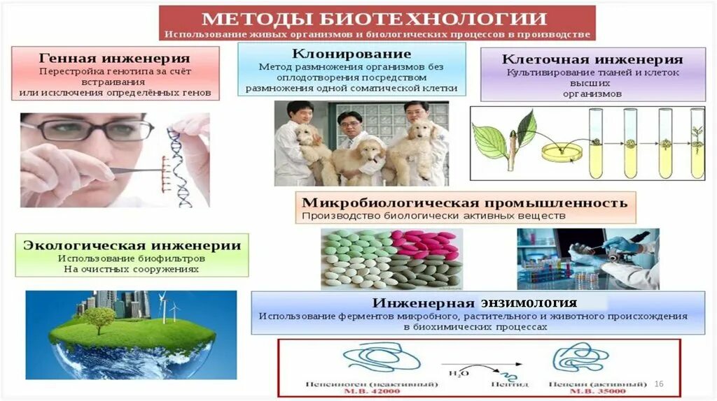 Клеточная биотехнология методы. Методы биотехнологии. Биотехнология это в биологии. Биотехнологии биология 11 класс. Биотехнология 11 класс.