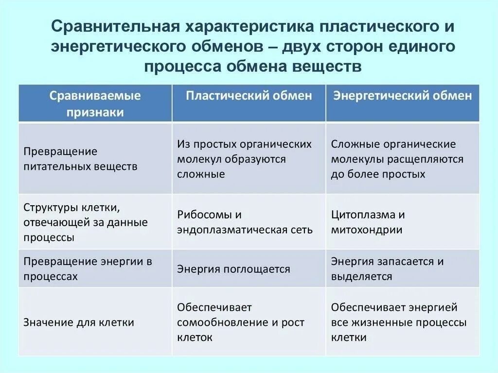 Сравнение реакции. Пластический обмен и энергетический обмен таблица. Сравнительная таблица пластического и энергетического обмена. Таблица признаки сравнения пластический обмен энергетический обмен. Пластический обмен и энергетический обмен сравнение.