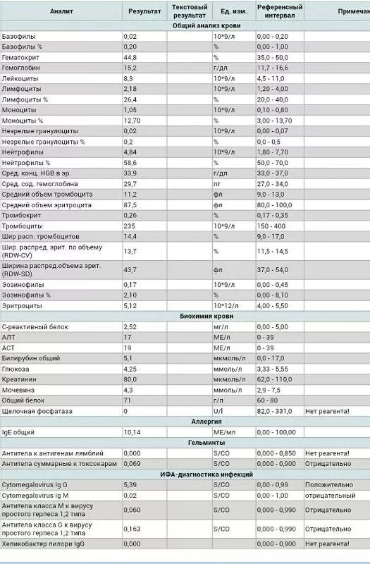 Повышены базофилы в крови у мужчины взрослого. Базофилы что это такое в анализе крови. Базофилы норма.