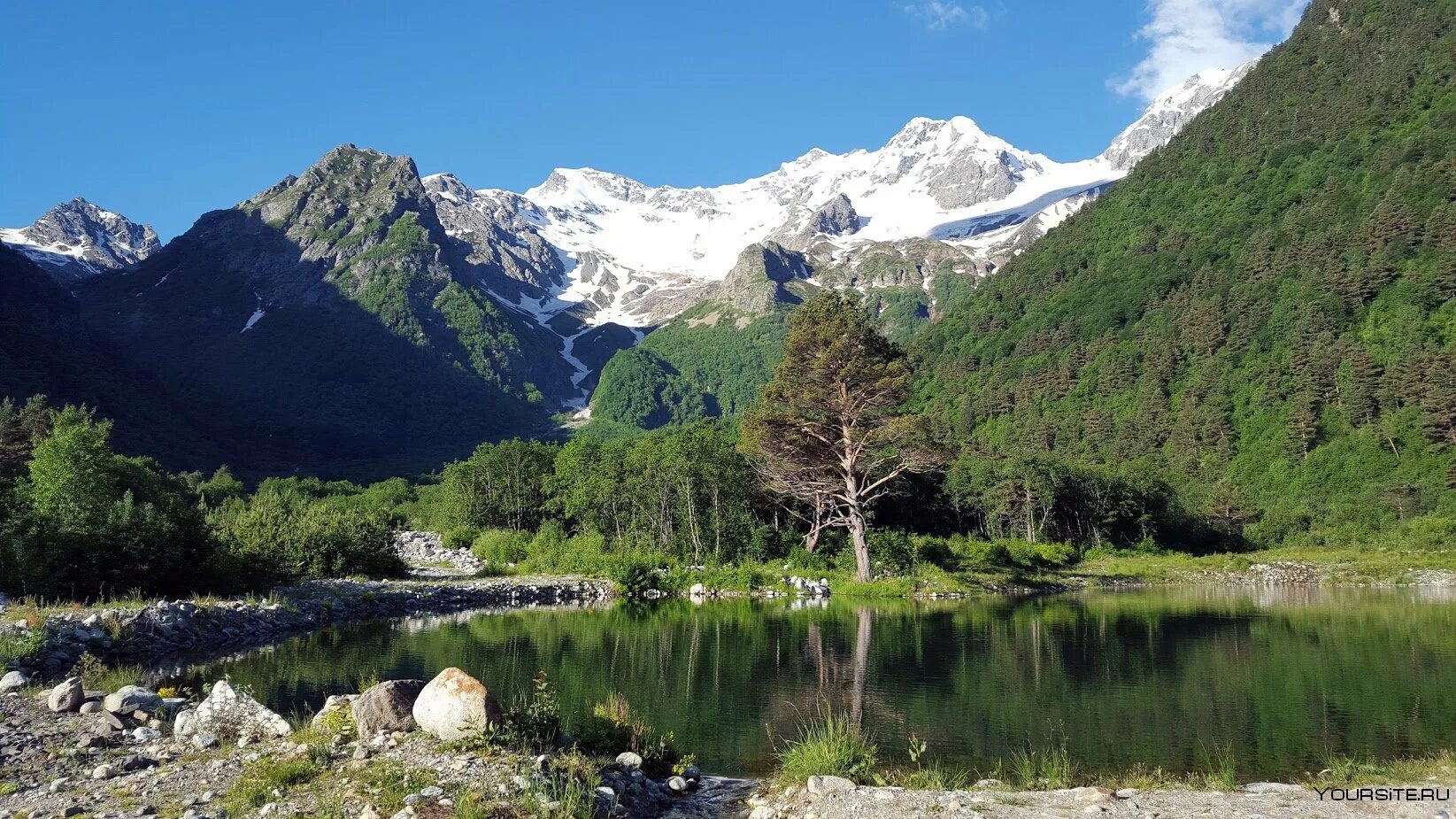 Кмв минеральные воды. Пятигорск минеральные воды. Кмв системы. Гора машук минеральные воды. Галерея пятигорск цветник.