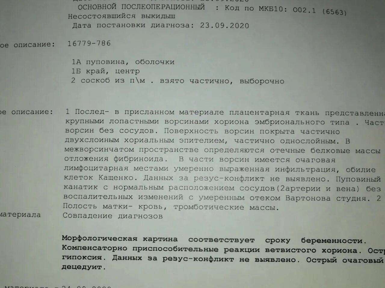 Неразвивающаяся беременность мкб 10. Заключение гистологии при замершей беременности. Гистология замершей беременности Результаты. Результаты гистологии после замершей беременности. Результаты гистологии после замершей беременности расшифровка.