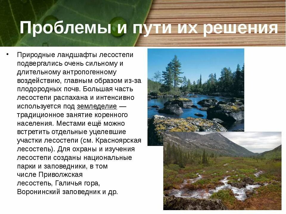 экологические проблемы зоны степей. проблемы степи и лесостепи. экологические проблемы лесостепи. экологические проблемы степистепи. экологические проблемы степной зоны.