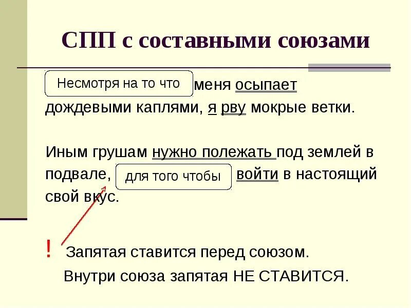 Несмотря на различие. Несмотря на то что. Несмотря на то что запятая. Сложноподчиненное предложение примеры с союзом. Не смотря на то что запчтая.